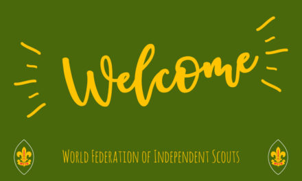 Welcome to WFIS: European associations 2020
